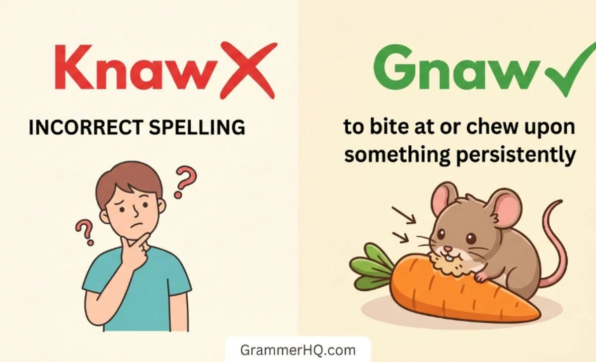 Knaw or Gnaw