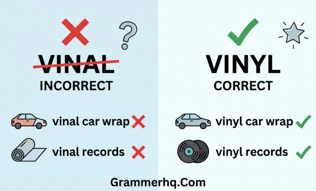 vinal vs vinyl