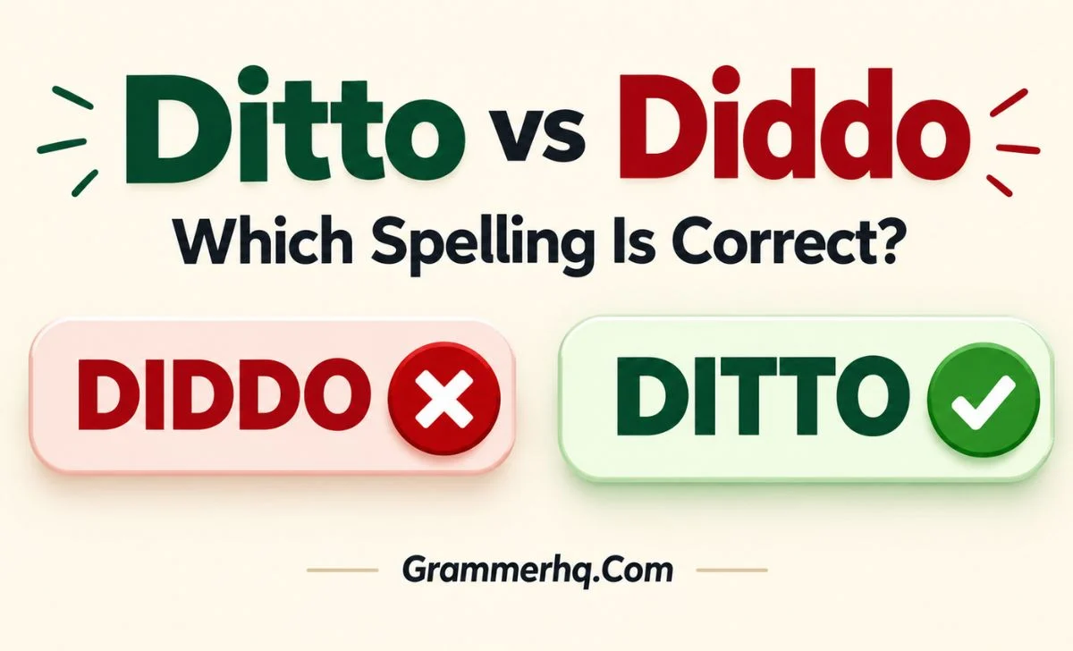 Ditto vs Diddo