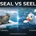 Seal vs Seel